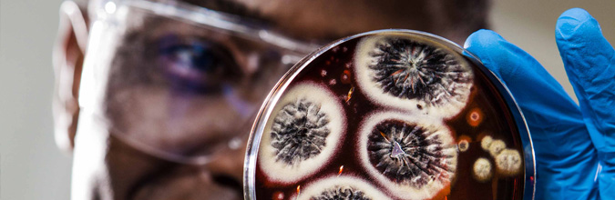 Image of article Bringing together local pathology services